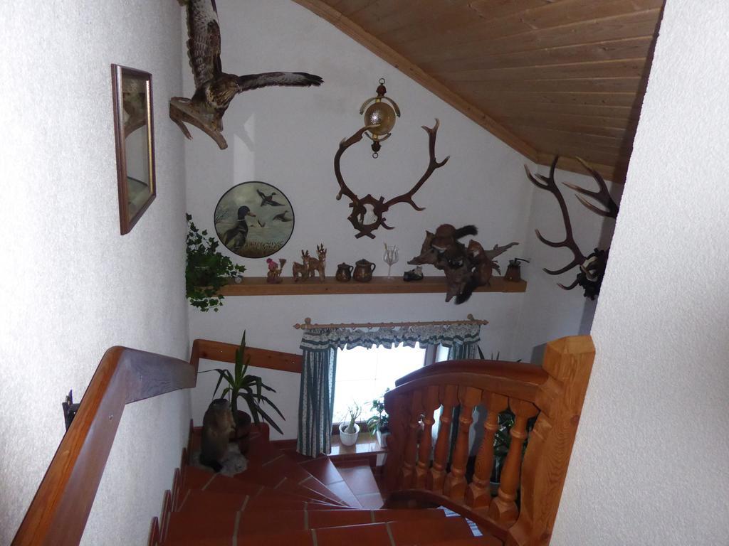 Ferienwohnung Vierthaler 고사우 외부 사진